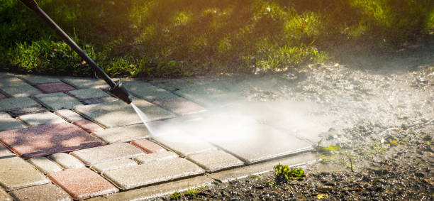 Best Roof Washing  in Kane, PA